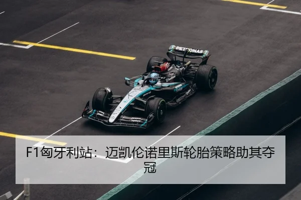 xiong-ya-li-zhan-mai-kai-lun-nuo-li-si-lun-tai-ce-lve-zhu-qi-duo-guan-3-204.jpg