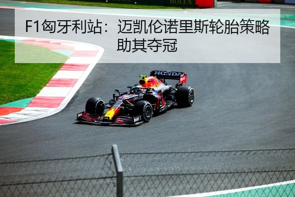 F1匈牙利站：迈凯伦诺里斯轮胎策略助其夺冠