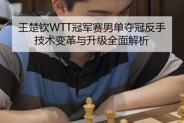 王楚钦WTT冠军赛男单夺冠反手技术变革与升级全面解析