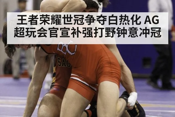 王者荣耀世冠争夺白热化 AG超玩会官宣补强打野钟意冲冠